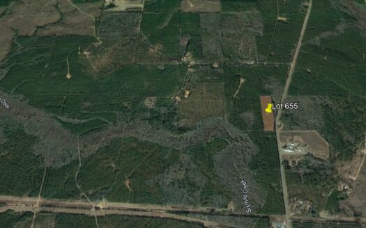 20 Acres in Bienville Parish *655*