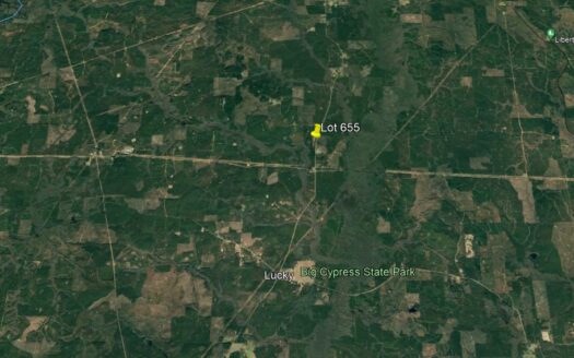 20 Acres in Bienville Parish *655*