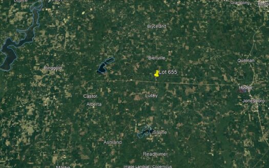 20 Acres in Bienville Parish *655*