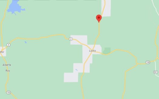 20 Acres in Bienville Parish *655*