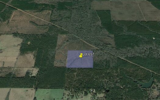 40 Acres in Beauregard Parish *657*