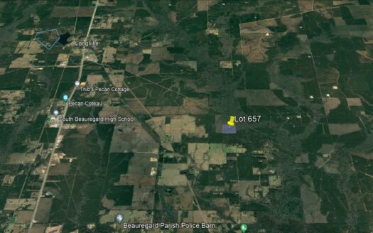 40 Acres in Beauregard Parish *657*