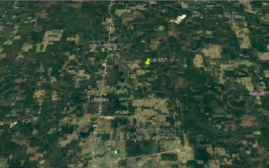 40 Acres in Beauregard Parish *657*