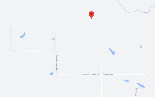 40 Acres in Beauregard Parish *657*