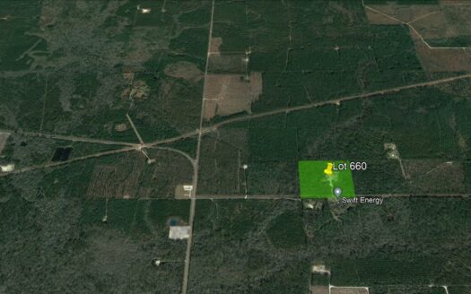 40 Acres Beauregard Parish *660*