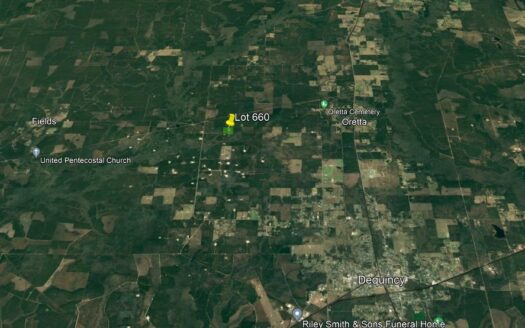 40 Acres Beauregard Parish *660*