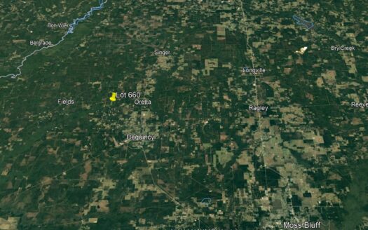 40 Acres Beauregard Parish *660*