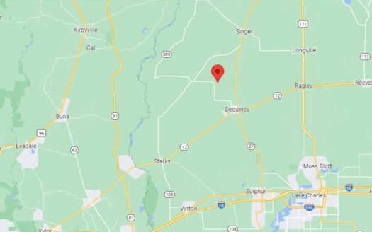 40 Acres Beauregard Parish *660*