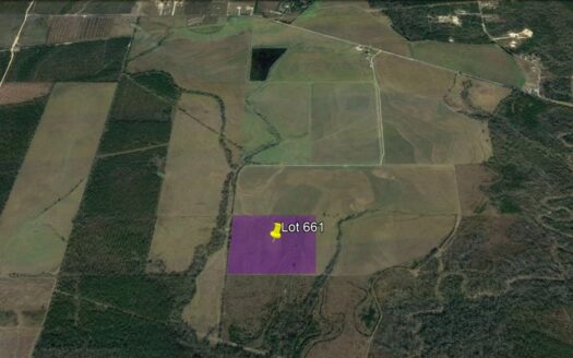 30 Acres in Beauregard Parish *661*