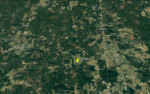 30 Acres in Beauregard Parish *661*