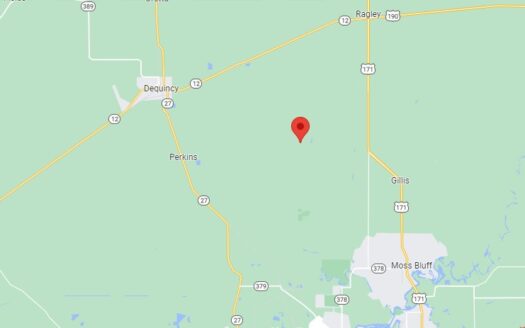 30 Acres in Beauregard Parish *661*