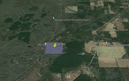 39.02 Acres in Beauregard Parish *662*