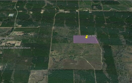 50 Acres in DeSoto Parish *665*