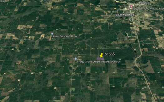 50 Acres in DeSoto Parish *665*