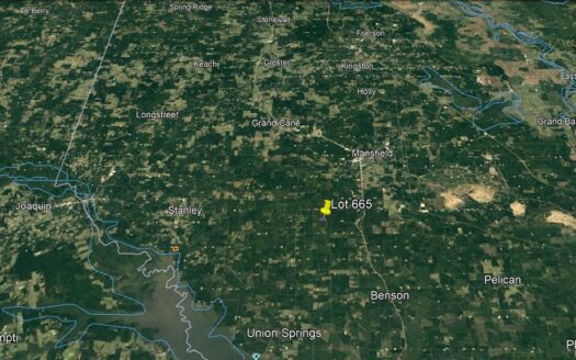 50 Acres in DeSoto Parish *665*