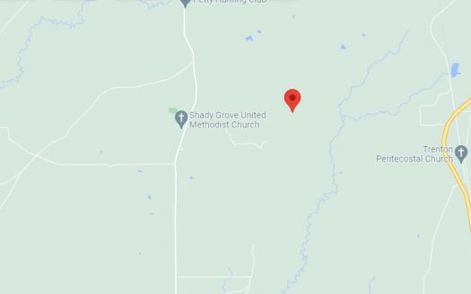 50 Acres in DeSoto Parish *665*