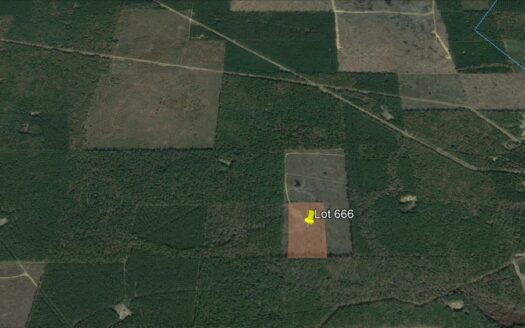 20.49 Acres in Bossier Parish *666*