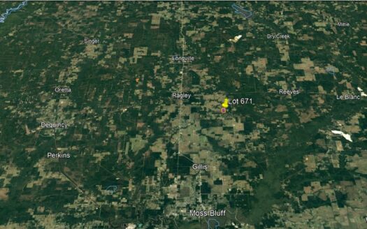 93.35 Acres in Beauregard Parish *671*