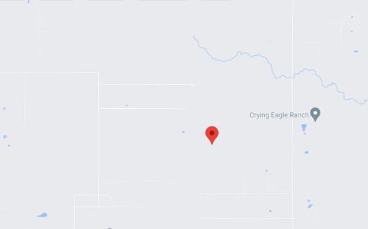 93.35 Acres in Beauregard Parish *671*