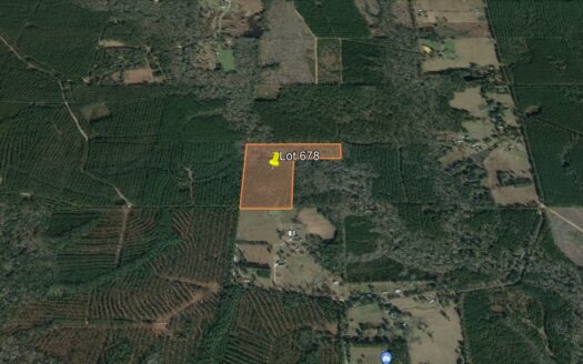 25 Acres in Beauregard Parish *678*