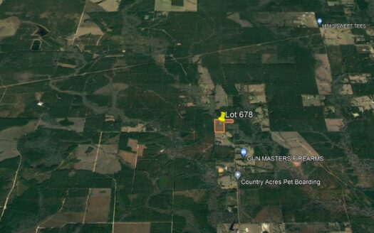 25 Acres in Beauregard Parish *678*
