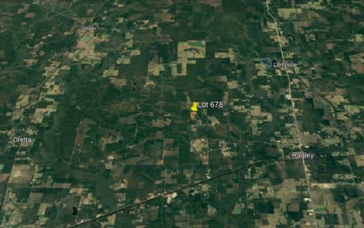 25 Acres in Beauregard Parish *678*