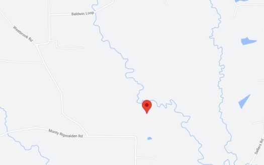 25 Acres in Beauregard Parish *678*