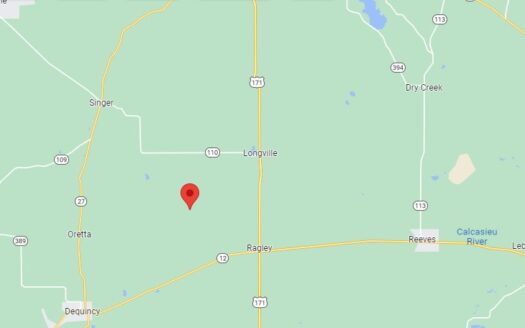 25 Acres in Beauregard Parish *678*