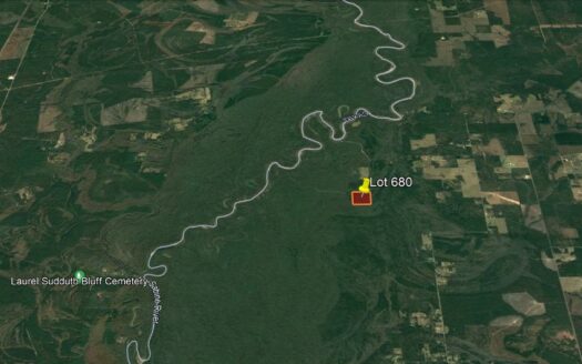 40 Acres in Beauregard Parish *680*