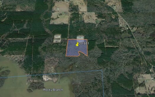 37 Acres in DeSoto Parish *681*