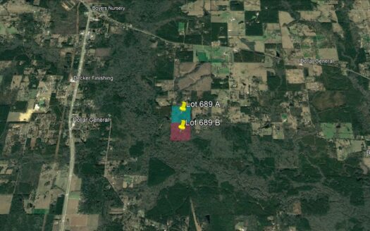 79.96 Acres in Beauregard Parish *689*