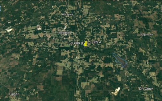 79.96 Acres in Beauregard Parish *689*